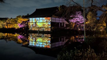 NAKEDヨルマイリ 2025-26 平安神宮に投稿された画像（2025/12/30）