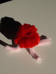 新江ノ島水族館に投稿された画像（2025/12/30）