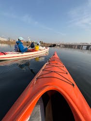 KAYAK kono-toriに投稿された画像（2025/12/30）