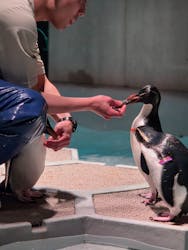 AOAO SAPPOROに投稿された画像（2025/12/30）