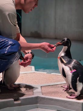 AOAO SAPPOROに投稿された画像（2025/12/30）