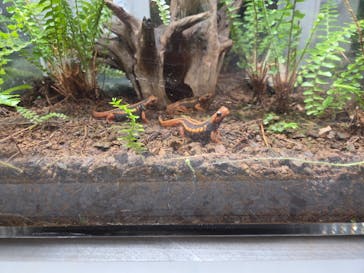 AOAO SAPPOROに投稿された画像（2025/12/30）