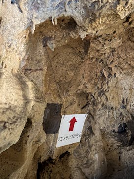 石垣島鍾乳洞に投稿された画像（2025/12/30）