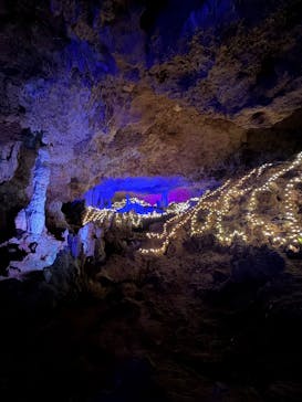 石垣島鍾乳洞に投稿された画像（2025/12/30）