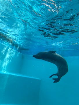 マリンワールド海の中道に投稿された画像（2025/12/30）