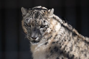 名古屋市東山動植物園に投稿された画像（2025/12/30）