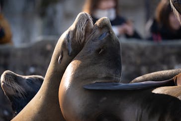 名古屋市東山動植物園に投稿された画像（2025/12/30）