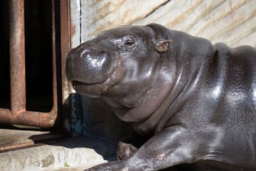 名古屋市東山動植物園に投稿された画像（2025/12/30）