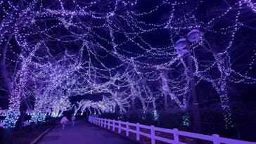 東武動物公園に投稿された画像（2025/12/30）