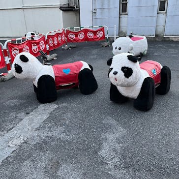 浅草花やしきに投稿された画像（2025/12/30）