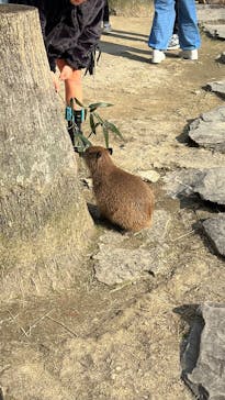 長崎バイオパークに投稿された画像（2025/12/30）