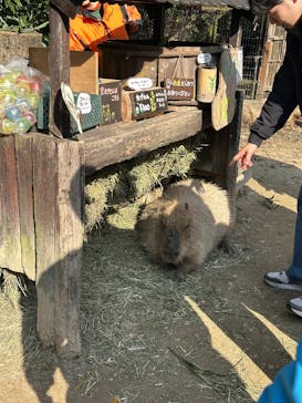 長崎バイオパークに投稿された画像（2025/12/30）