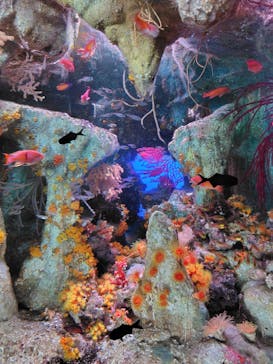 サンシャイン水族館に投稿された画像（2025/12/30）