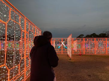 大阪城イルミナージュに投稿された画像（2025/12/30）