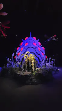 金曜ロードショーとジブリ展（静岡展）に投稿された画像（2025/12/31）