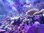 名古屋港水族館に投稿された画像（2025/12/31）