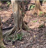 長崎バイオパークに投稿された画像（2025/12/31）