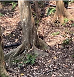 長崎バイオパークに投稿された画像（2025/12/31）