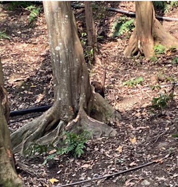 長崎バイオパークに投稿された画像（2025/12/31）