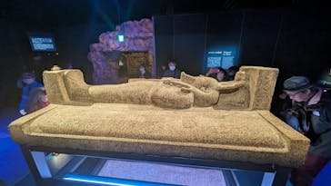 ACN ラムセス大王展 ファラオたちの黄金に投稿された画像（2025/12/31）