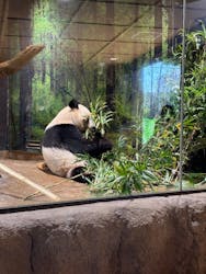 恩賜上野動物園に投稿された画像（2025/12/31）