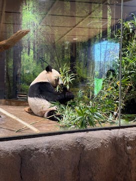 恩賜上野動物園に投稿された画像（2025/12/31）