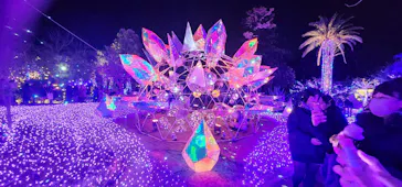 江の島シーキャンドルに投稿された画像（2025/12/31）