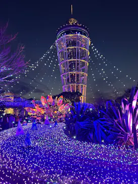 江の島シーキャンドルに投稿された画像（2025/12/31）