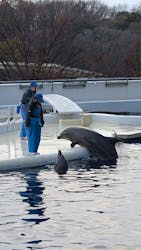 京都水族館に投稿された画像（2025/12/31）