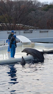 京都水族館に投稿された画像（2025/12/31）