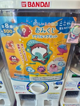 大分マリーンパレス水族館 「うみたまご」に投稿された画像（2025/12/31）