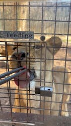 群馬サファリパークに投稿された画像（2025/12/31）