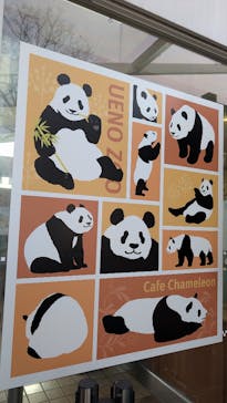 恩賜上野動物園に投稿された画像（2025/12/31）