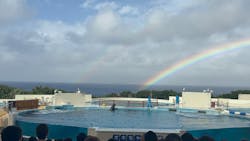 沖縄美ら海水族館に投稿された画像（2025/12/31）