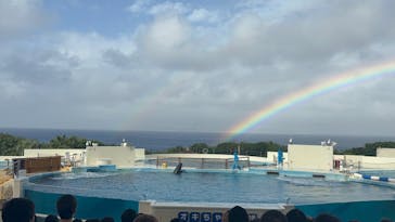 沖縄美ら海水族館に投稿された画像（2025/12/31）