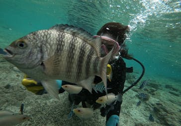 武藤潜水に投稿された画像（2025/12/31）