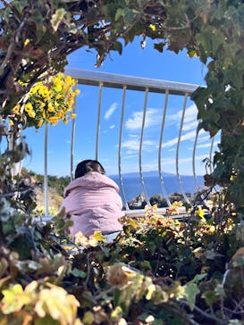 熱川バナナワニ園に投稿された画像（2025/12/31）