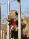 しろとり動物園に投稿された画像（2025/12/31）