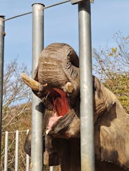 しろとり動物園に投稿された画像（2025/12/31）