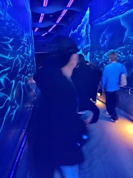 マリンワールド海の中道に投稿された画像（2025/12/31）