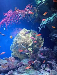 マリンワールド海の中道に投稿された画像（2025/12/31）