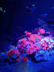 マリンワールド海の中道に投稿された画像（2025/12/31）