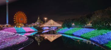 レオマリゾートに投稿された画像（2025/12/31）