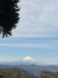 伊豆シャボテン動物公園に投稿された画像（2025/12/31）