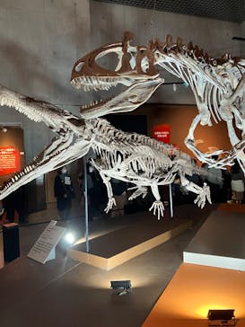 特別展「大絶滅展―生命史のビッグファイブ」に投稿された画像（2025/12/31）