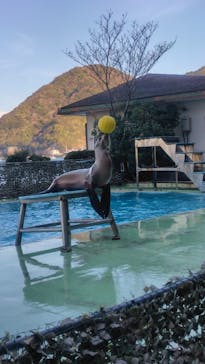 あわしまマリンパークに投稿された画像（2025/12/31）