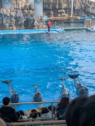 名古屋港水族館に投稿された画像（2025/12/31）