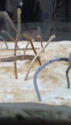 京都水族館に投稿された画像（2025/12/31）