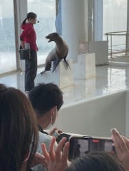 アクアワールド茨城県大洗水族館に投稿された画像（2025/12/31）