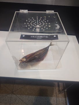 におい展PLUS＋ in 東京スカイツリーに投稿された画像（2025/12/31）